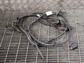 Other wiring loom