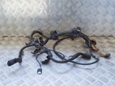 Other wiring loom