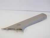 (A) pillar trim