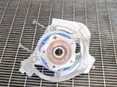 Rear wheel hub