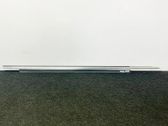 Door glass trim