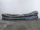 Wiper trim