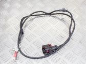 Other wiring loom