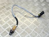 Sonde lambda