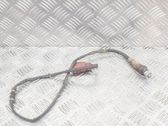 Sonde lambda