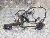Front door wiring loom
