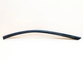 Windshield trim
