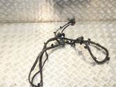 Otros cableados