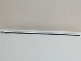 Verkleidung Türfenster Türscheibe