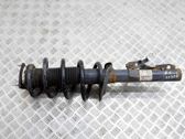 Front shock absorber/damper