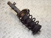 Front shock absorber/damper