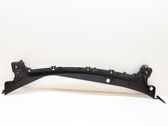 Wiper trim