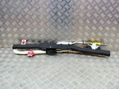 Roof airbag