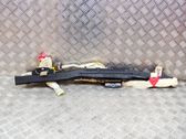 Roof airbag
