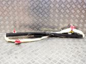 Roof airbag