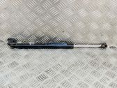 Tailgate/trunk strut/damper