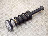 Rear shock absorber/damper