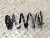 Rear coil spring