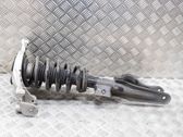 Front shock absorber/damper