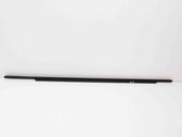 Rear door glass trim molding