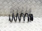 Rear coil spring