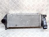 Intercooler radiator