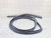 Rubber seal front door (on door)