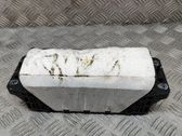 Beifahrerairbag