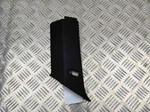 (C) pillar trim