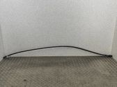 Roof trim bar molding cover