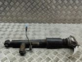 Stoßdämpfer hinten