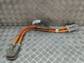 Other wiring loom