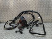 Other wiring loom