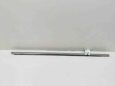 Rear door glass trim molding