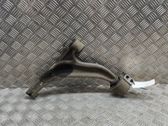 Front lower control arm/wishbone