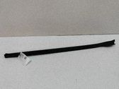 Windshield trim