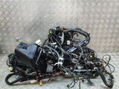 Other wiring loom