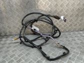 Other wiring loom