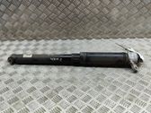 Stoßdämpfer hinten