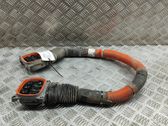 Other wiring loom