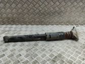 Stoßdämpfer hinten