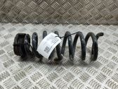 Rear coil spring