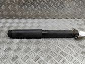 Stoßdämpfer hinten
