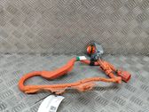 Other wiring loom