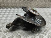 Rear wheel hub