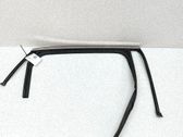 Rear door glass trim molding