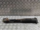 Rear shock absorber/damper