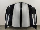Motorhaube