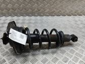 Stoßdämpfer hinten