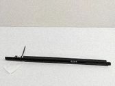 Rear door glass trim molding